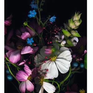 Meet your Posher, Xuan